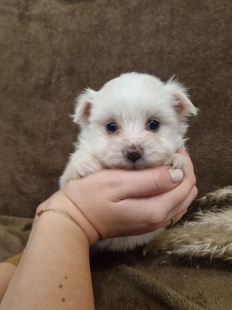 Wir suchen bald ein neues Zuhause