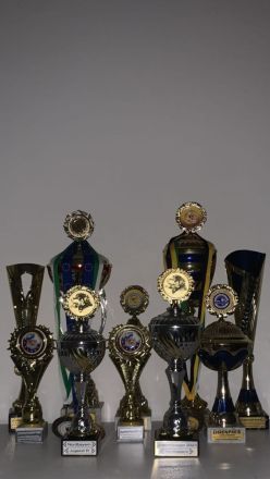 Rottweiler Deckrüde