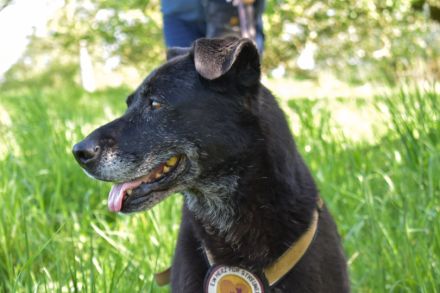 Zurly wartet auf deinen Besuch