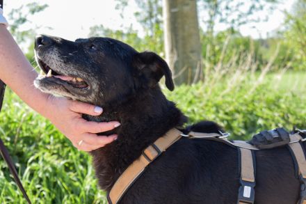 Zurly wartet auf deinen Besuch