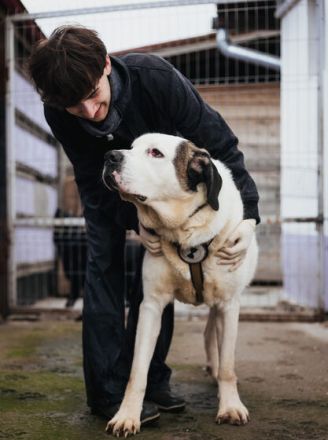 Keano - großer Schmuser sucht ein warmes Zuhause