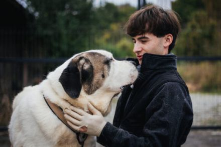 Keano - großer Schmuser sucht ein warmes Zuhause