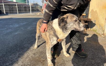 Kann dich Phils Blick verzaubern?