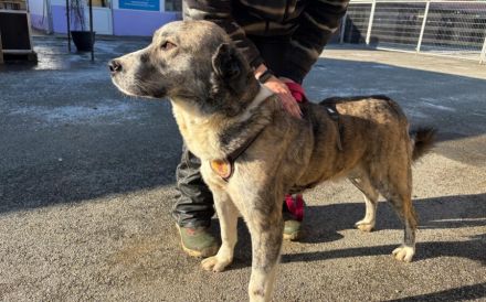 Kann dich Phils Blick verzaubern?