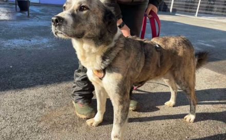 Kann dich Phils Blick verzaubern?