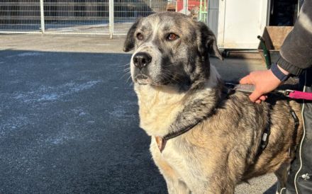 Kann dich Phils Blick verzaubern?