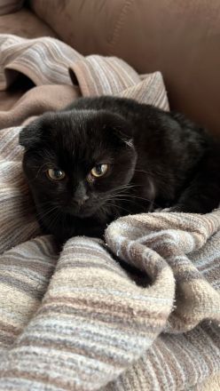 2 Geschwister BKH (7monate)