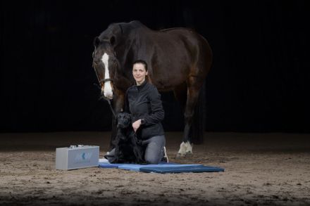 Hundephysiotherapie / Pferdephysiotherapie Böblingen / Tierphysiotherapie FeinGefühl