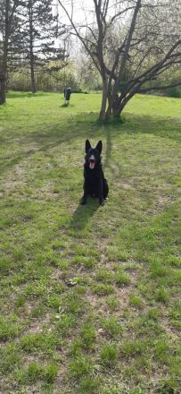 Suche dringend ein zuhause