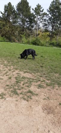 Suche dringend ein zuhause