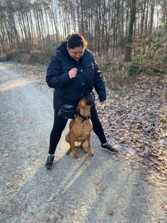 Perfect Match | Mensch-Hund-Training