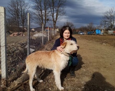 Der freundliche Micky sucht sein Glück