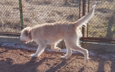 Der freundliche Micky sucht sein Glück