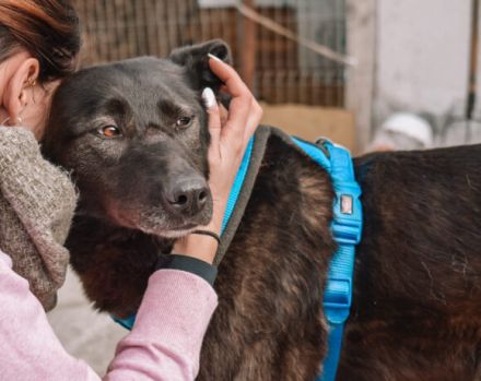 Sunset lässt Herzen höher schlagen