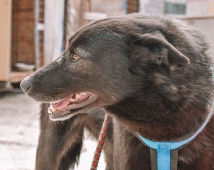 Sunset lässt Herzen höher schlagen