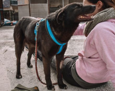 Sunset lässt Herzen höher schlagen