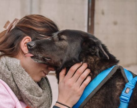 Sunset lässt Herzen höher schlagen