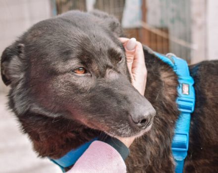 Sunset lässt Herzen höher schlagen