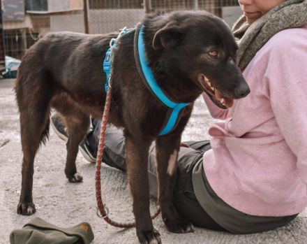 Sunset lässt Herzen höher schlagen