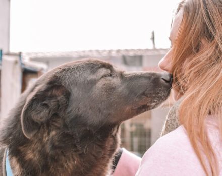 Sunset lässt Herzen höher schlagen