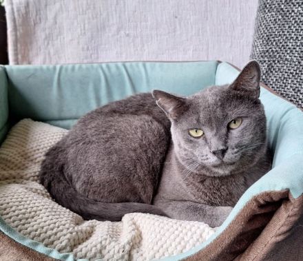 Huerto - sehr lieb und menschenbezogen