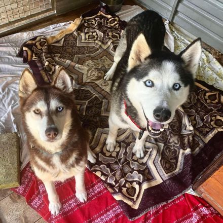 Ragnar - freundlich, aktiv