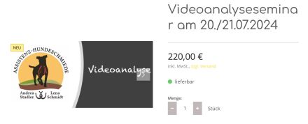 Videoanalyseseminar am 20./21.07.2024
