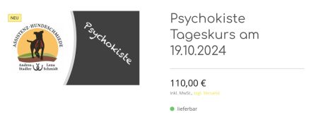 Psychokiste Tageskurs am 19.10.2024