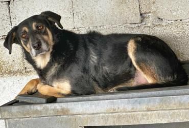 Roundy - der Unscheinbare