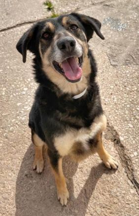 Roundy - der Unscheinbare