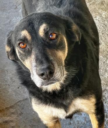 Roundy - der Unscheinbare