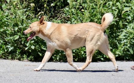 Sensibler Justus wartet auf seine Familie