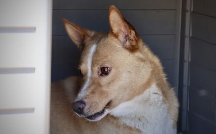 Sensibler Justus wartet auf seine Familie