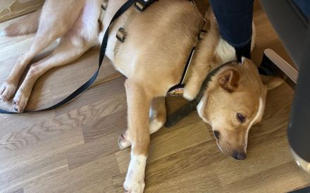 Sensibler Justus wartet auf seine Familie