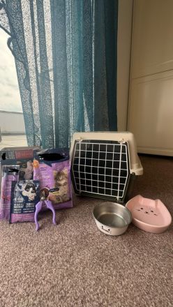 Simon sucht ein neues Zuhause