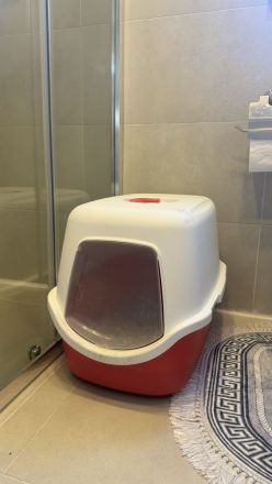 Simon sucht ein neues Zuhause