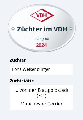 manchester-terrier-von-der-blattgoldstadt.de