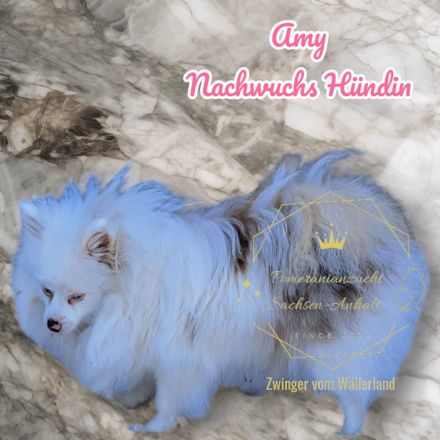 Zwinger vom Wällerland