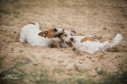 Never Say Never Again