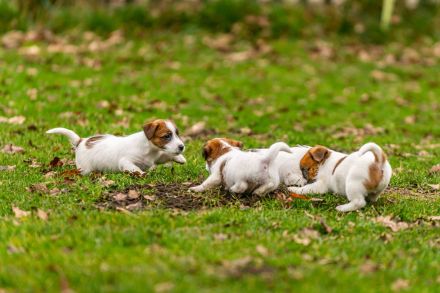 Never Say Never Again