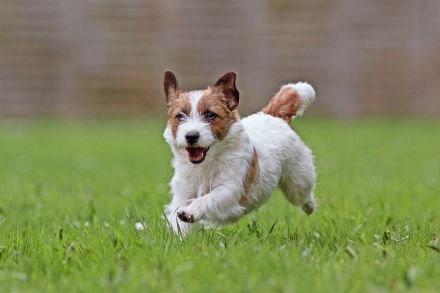 Never Say Never Again