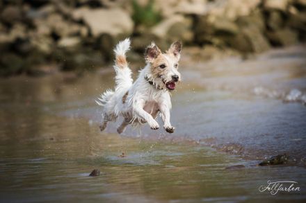 Never Say Never Again