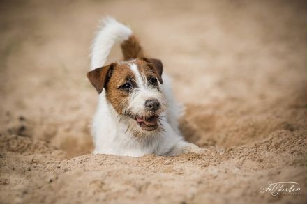 Never Say Never Again