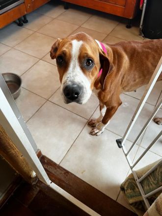 Tapfere Faith sucht Dich!