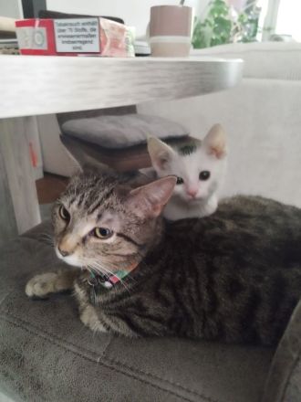 Luna 9 Monate u. Leo 14 Wochen Baby