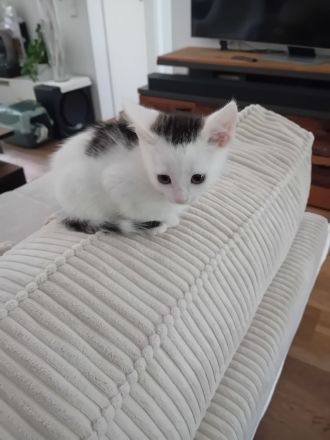 Luna 9 Monate u. Leo 14 Wochen Baby