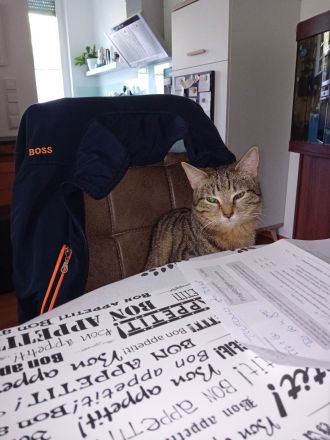 Luna 9 Monate u. Leo 14 Wochen Baby