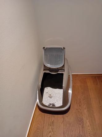 Luna 9 Monate u. Leo 14 Wochen Baby