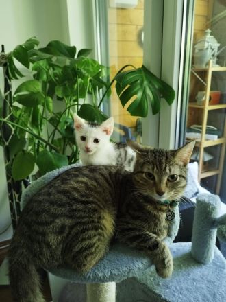 Luna 9 Monate u. Leo 14 Wochen Baby