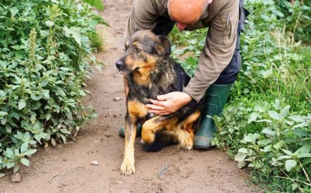 Sanny wartet auf ihr ganz eigenes Körbchen